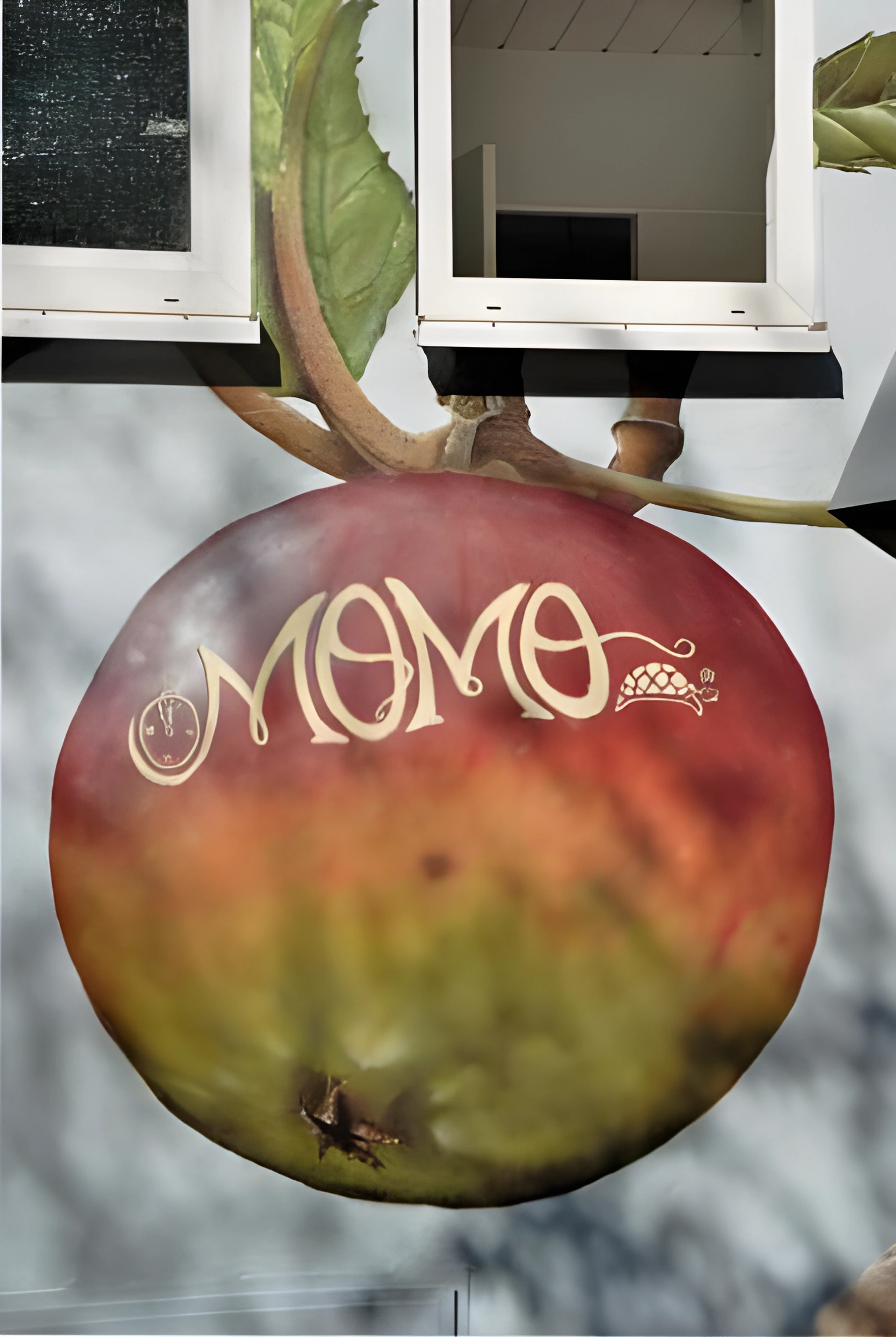 Naturkostladen Momo Bonn